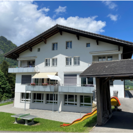 Fakultatives Referendum