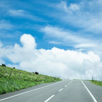 Verkehrsmassnahme