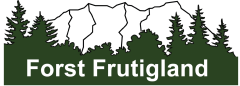Logo GSFF