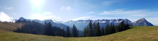 Bild Waldbesitzende
